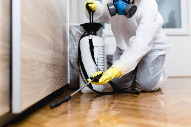 Best Exterminator Services  in Guttenberg, IA