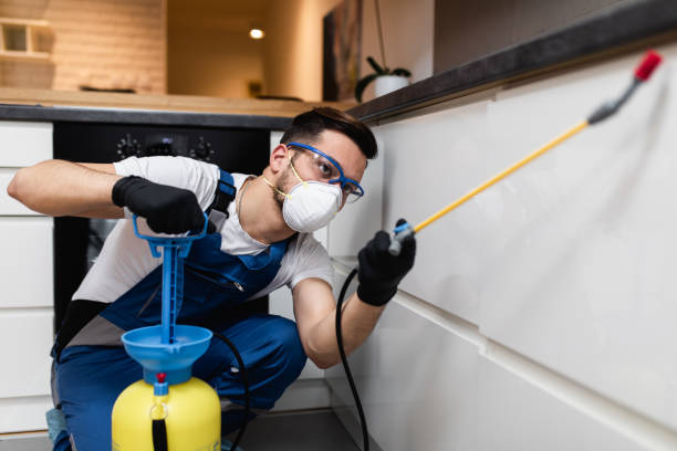 Best Wildlife Control Services  in Guttenberg, IA