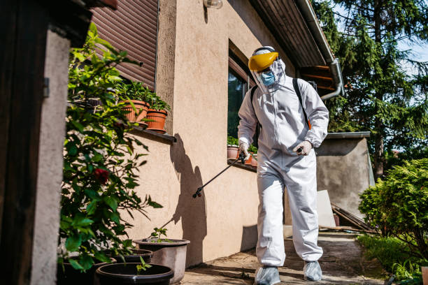 Trusted Guttenberg, IA Pest Control Experts