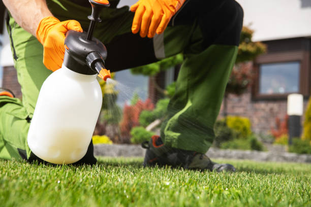 Best Mosquito Control Services  in Guttenberg, IA