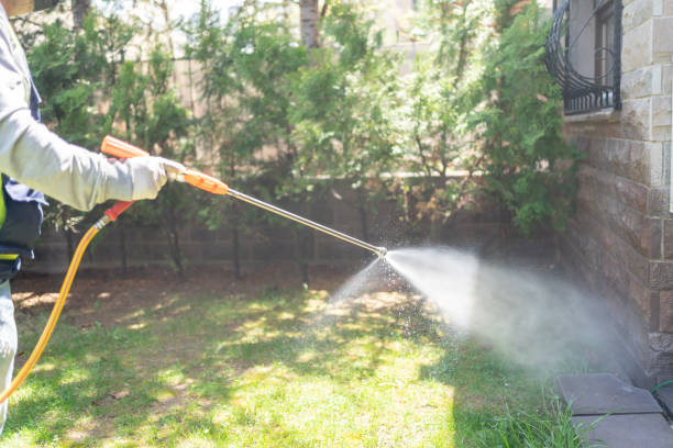 Best Pest Removal Services  in Guttenberg, IA
